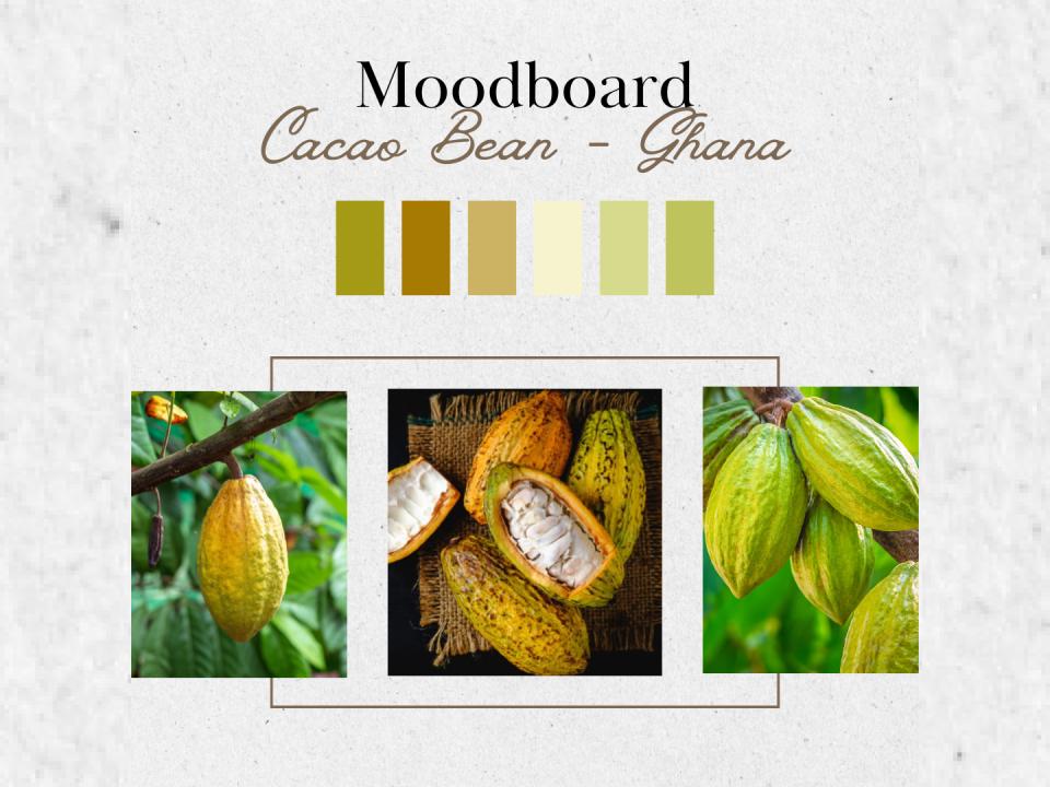 Cacao Bean - Ghana (Rolags)